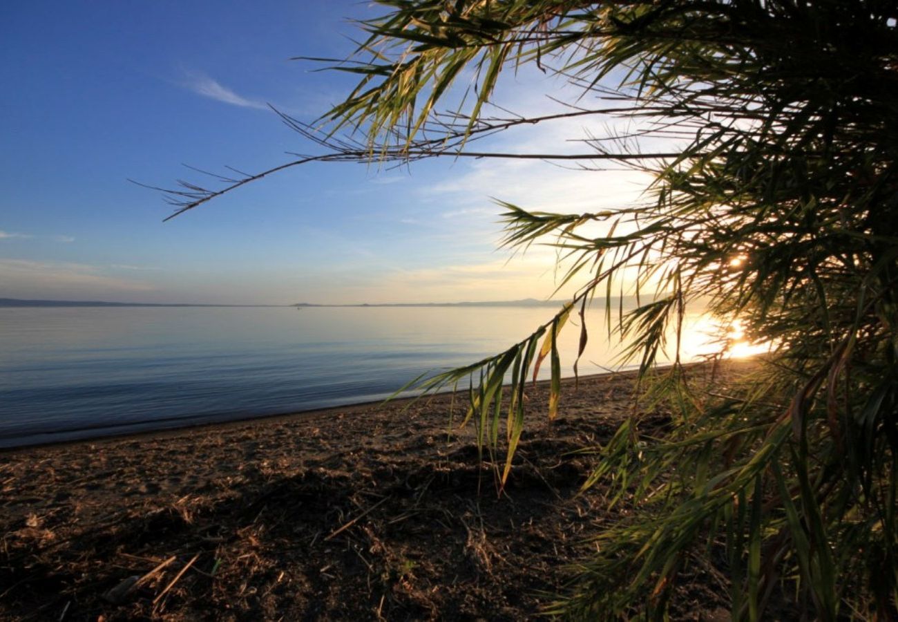 House in Bolsena - Holiday home Maris - just 300 m from the beach and with Whirlpool