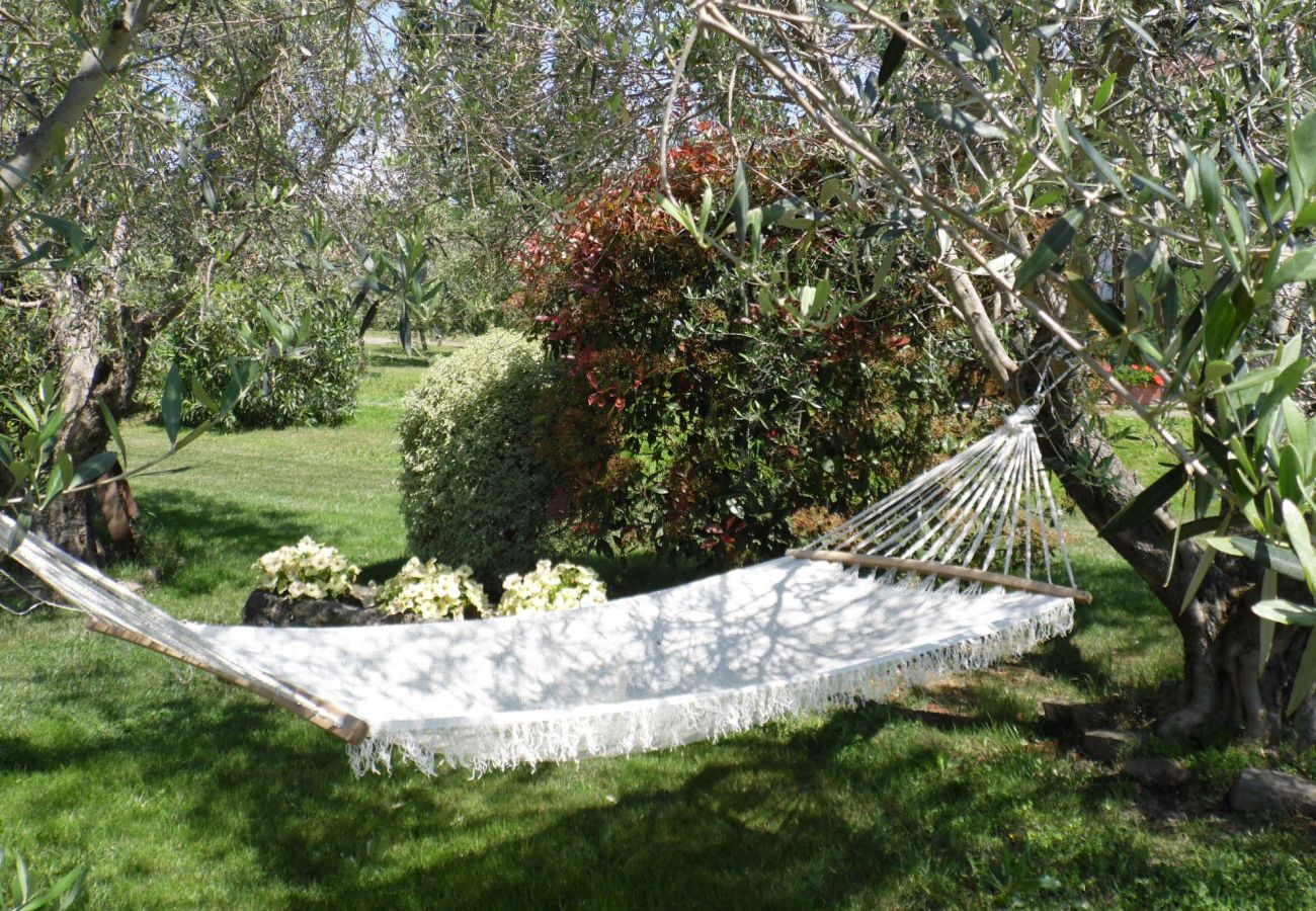 House in Bolsena - Olivella - House with view on the lake and Pool 