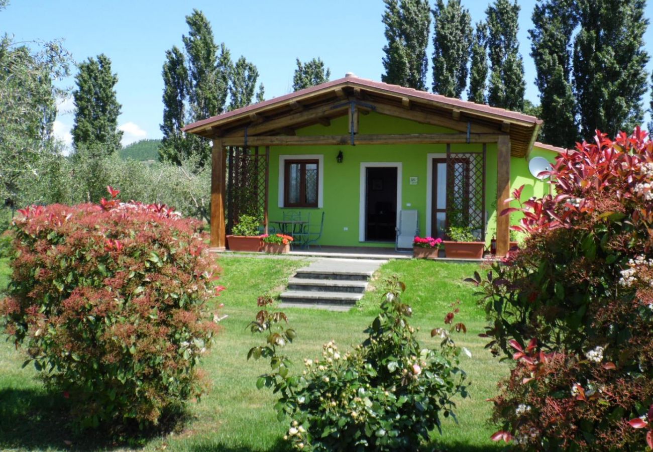 House in Bolsena - Olivella - House with view on the lake and Pool 