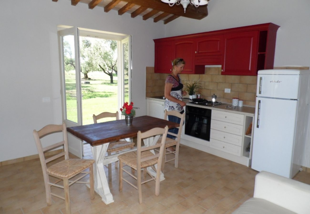 kitchen in the holiday apartment Losna in Bolsena