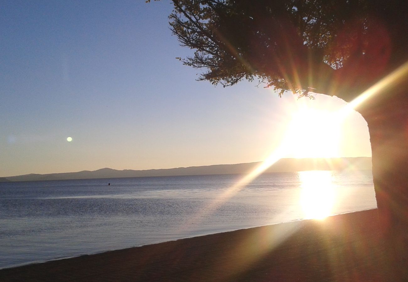 Lake Bolsena