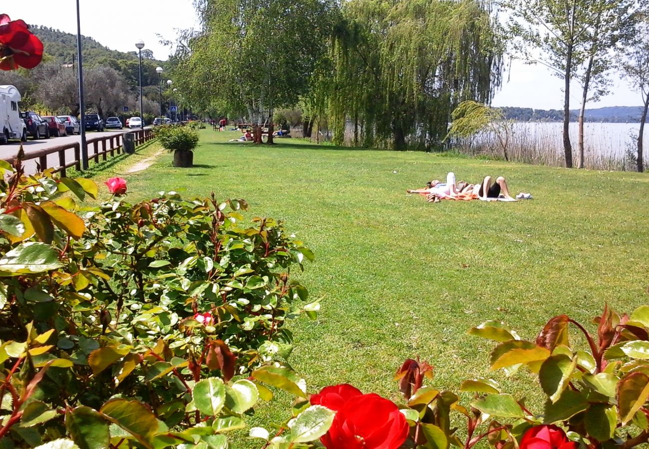 beach at Lake Bolsena in Montefiascone