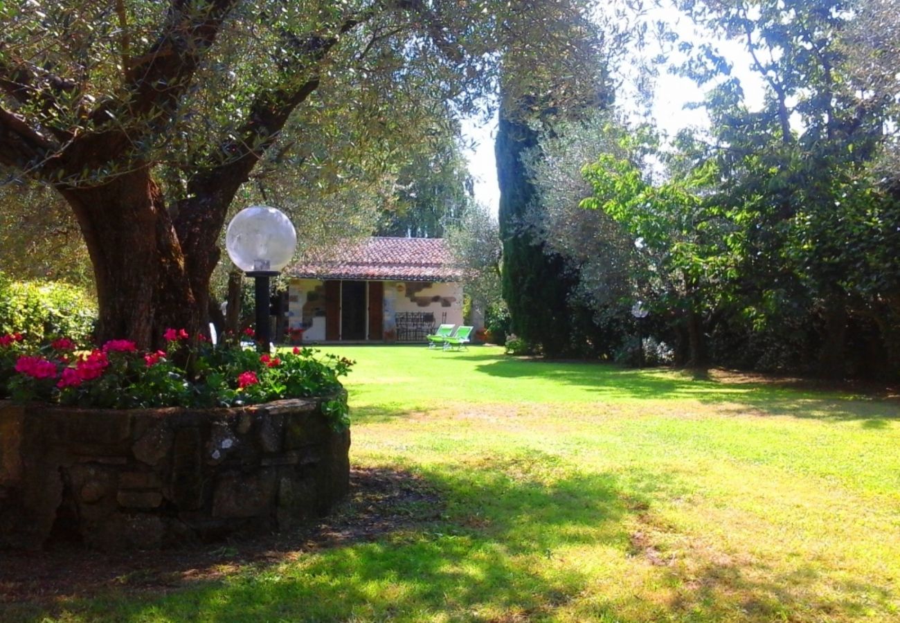 House in Bolsena - Casetta sul Lago- Directly on the Lake