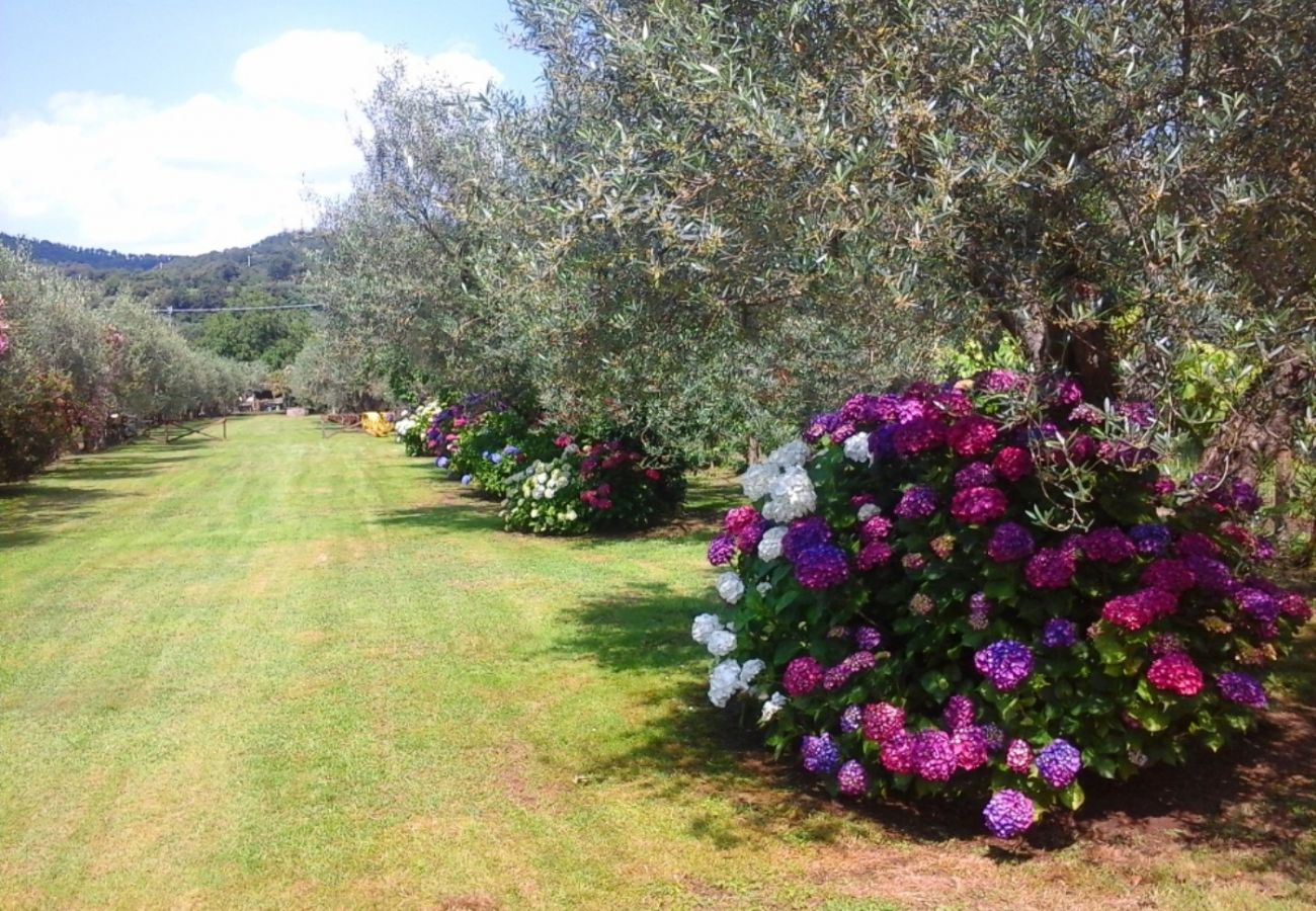 House in Bolsena - Casetta sul Lago- Directly on the Lake