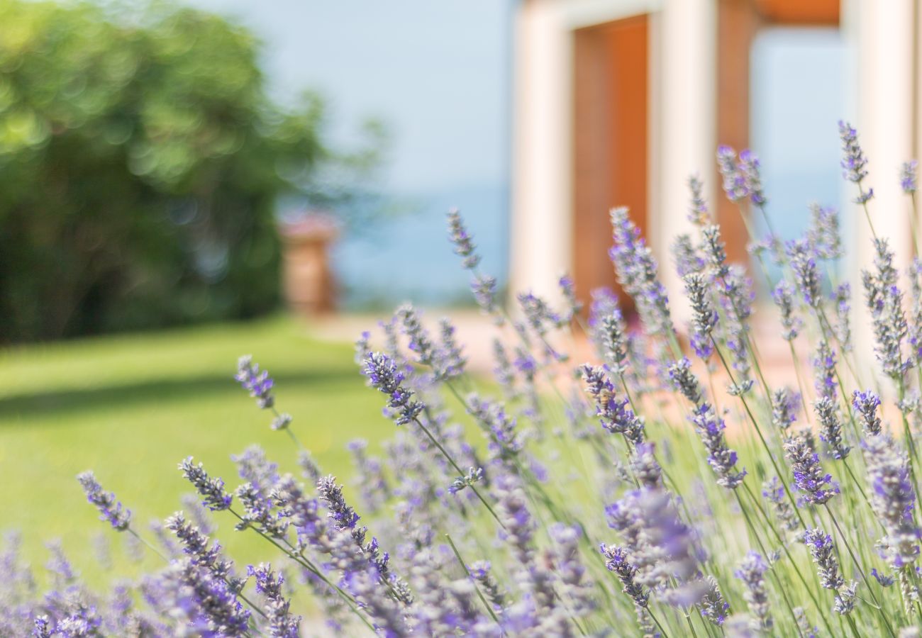 Apartment in Bolsena - Poderaccio - Cerro