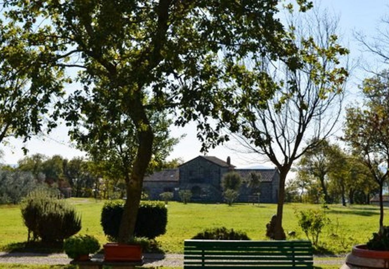 Apartment in Bolsena - Casa 4 - with Saltwaterpool!