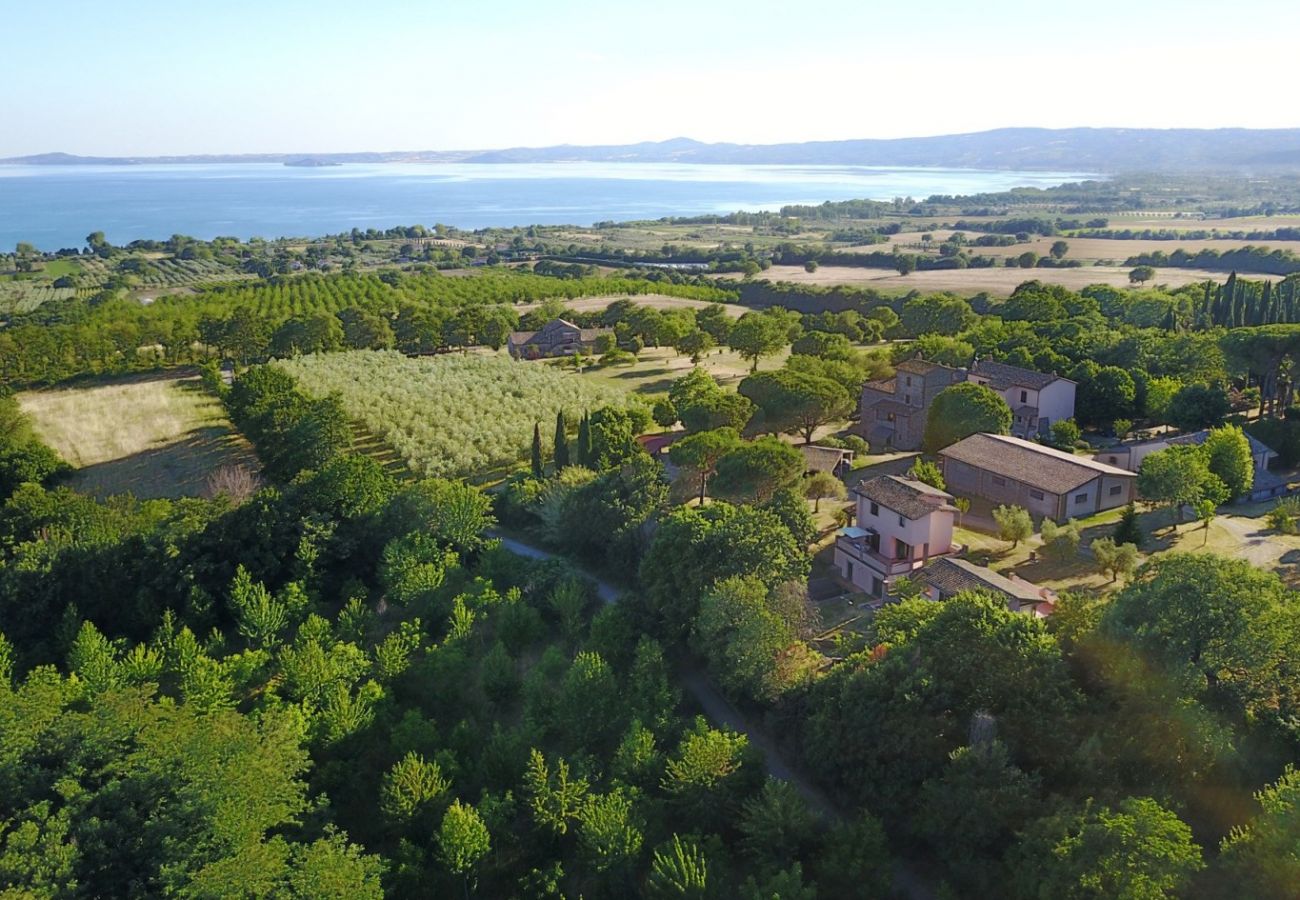 Apartment in Bolsena - Casa Vecchia - with Saltwater- Pool!