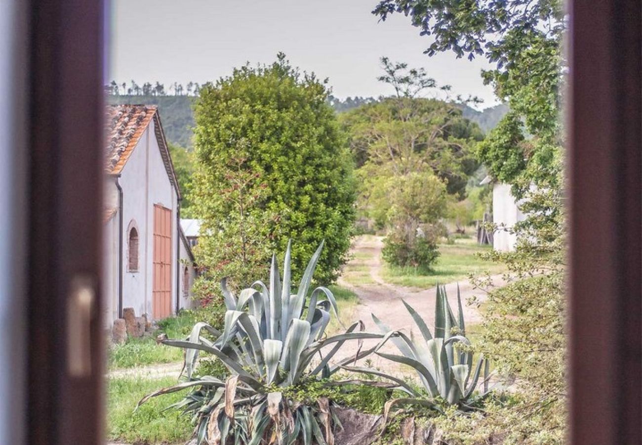 Apartment in Bolsena - Sem - History House with Saltwaterpool