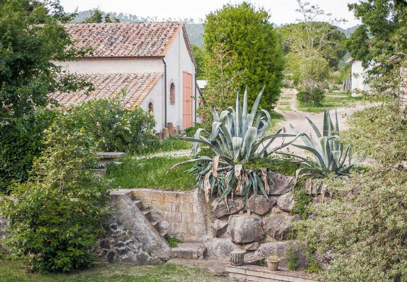 Apartment in Bolsena - Sem - History House with Saltwaterpool