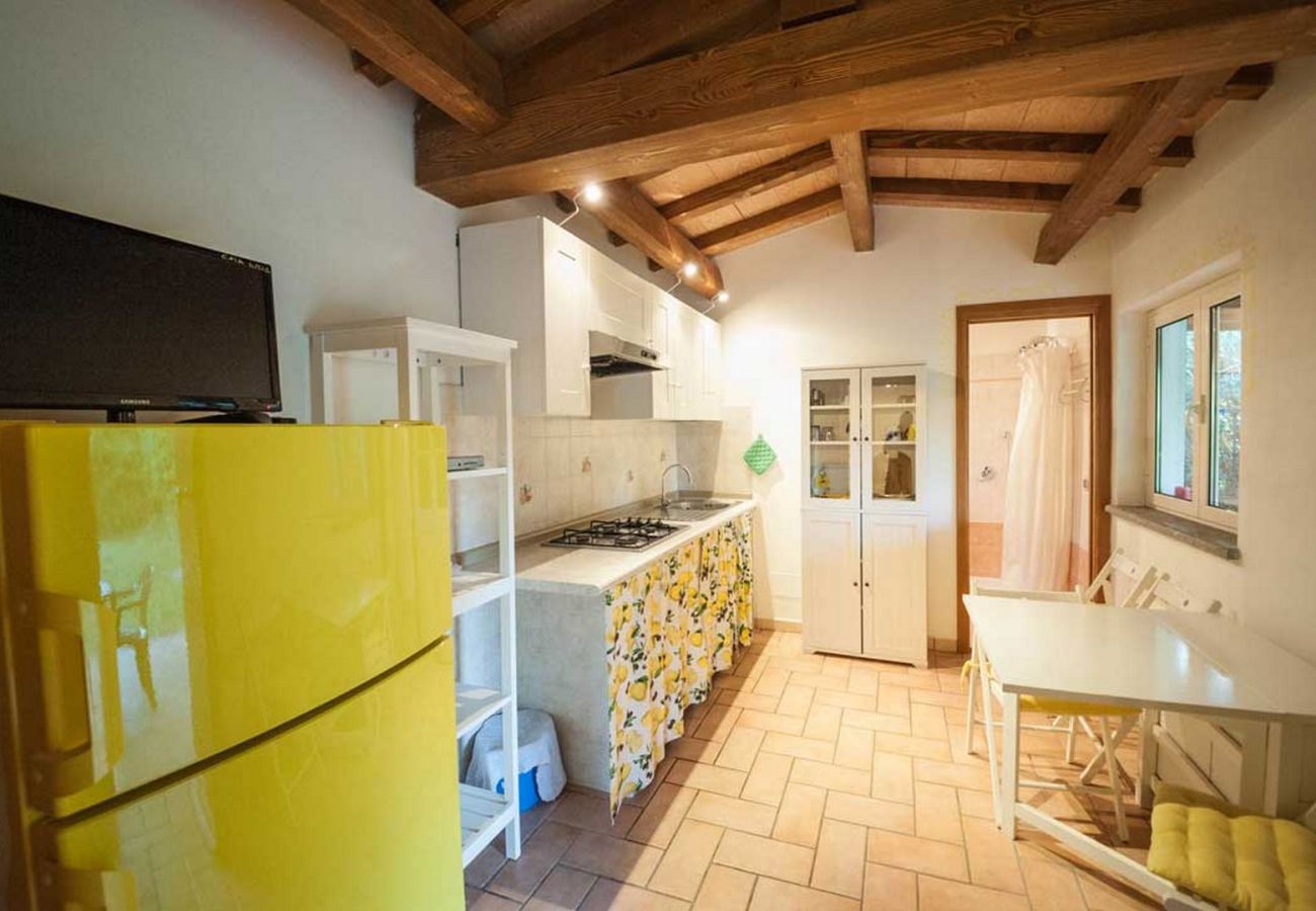 House in Bolsena - Casa Gialla - House directly on the Bolsena Lake!