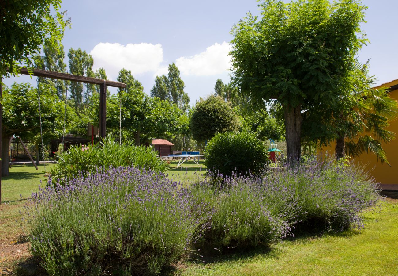 garden of the holiday apartment Arditella by Lake Bolsena