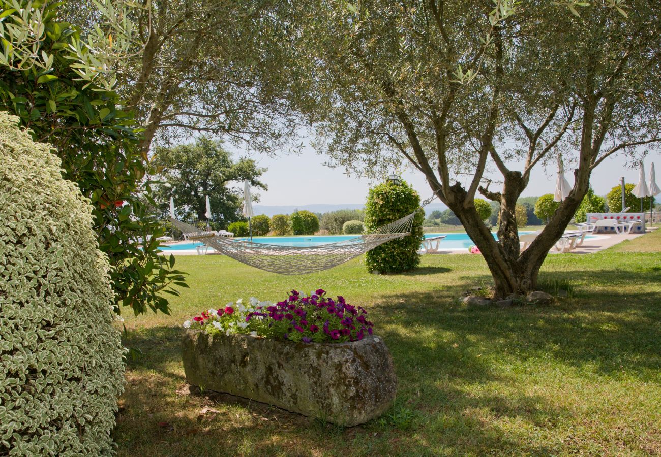 garden with pool of the holiday apartment Arditella in Bolsena