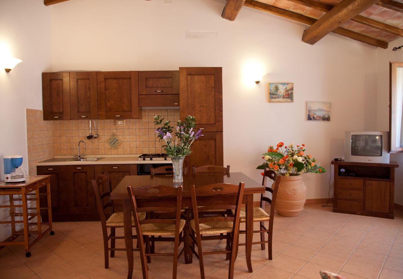 kitchen in the holiday apartment Arditella at Lake Bolsena