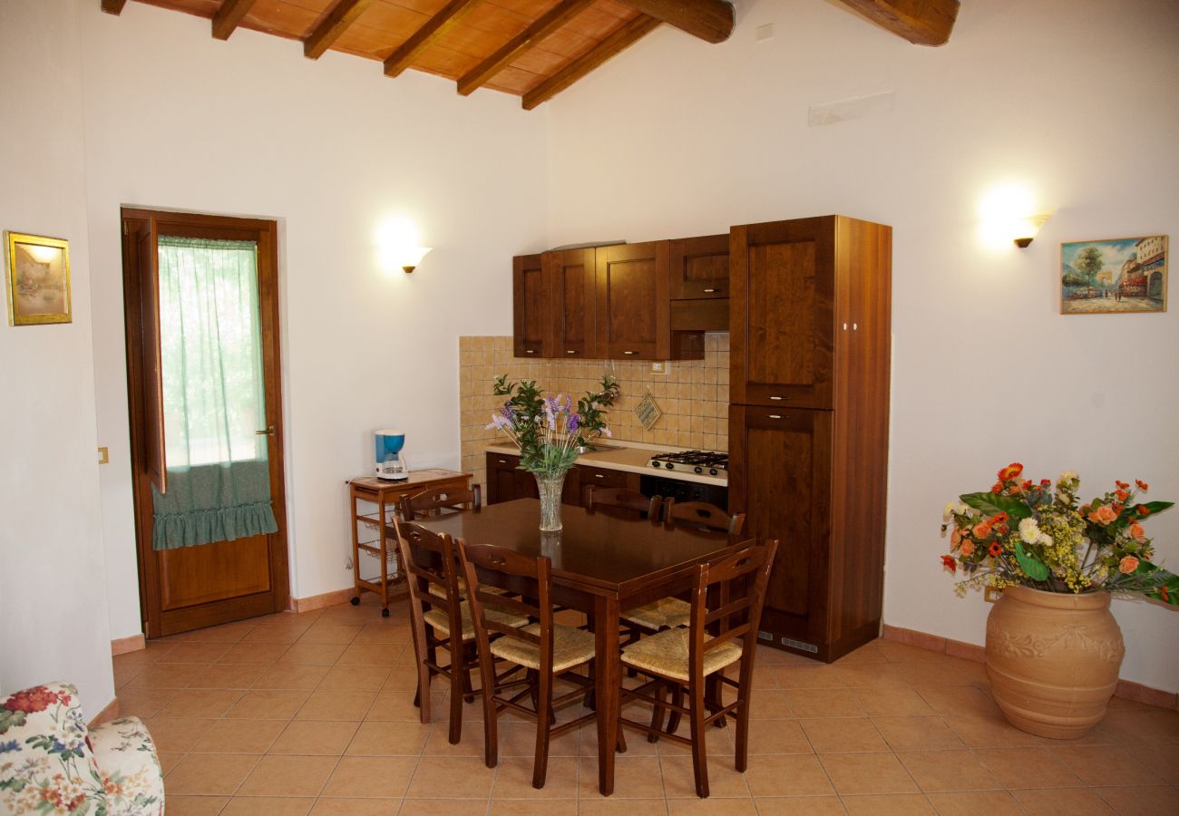 kitchen in the holiday apartment Arditella at Lake Bolsena