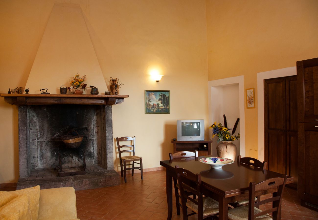 Apartment in Bolsena - Casa Contadino-Holiday Appartment with view on the lake