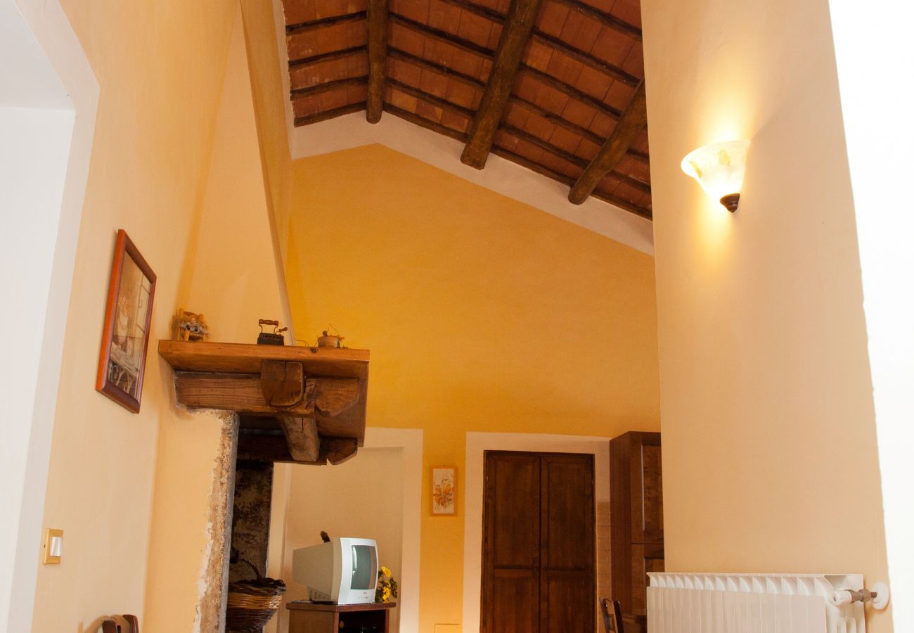 Apartment in Bolsena - Casa Contadino-Holiday Appartment with view on the lake