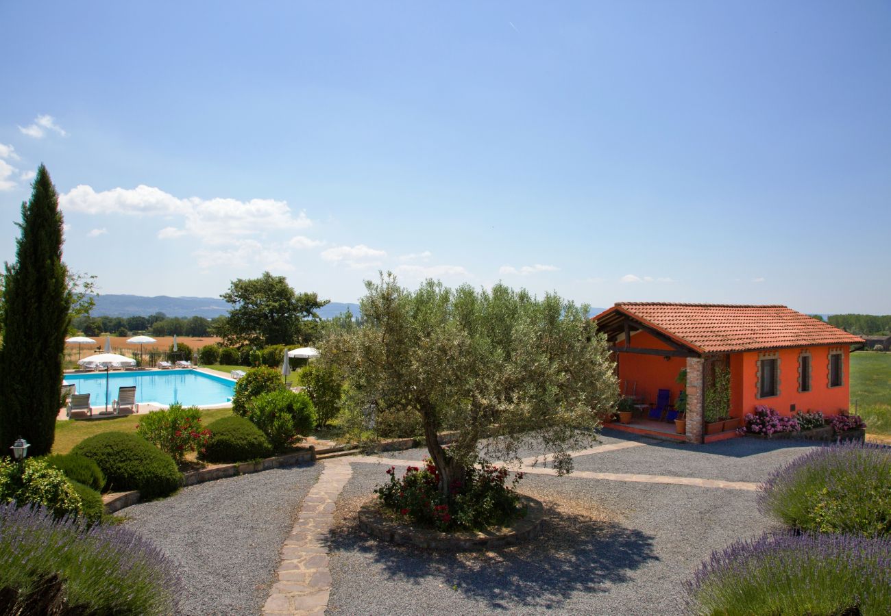 House in Bolsena - Casa Fenile - Holiday house with view on the Pool and beach