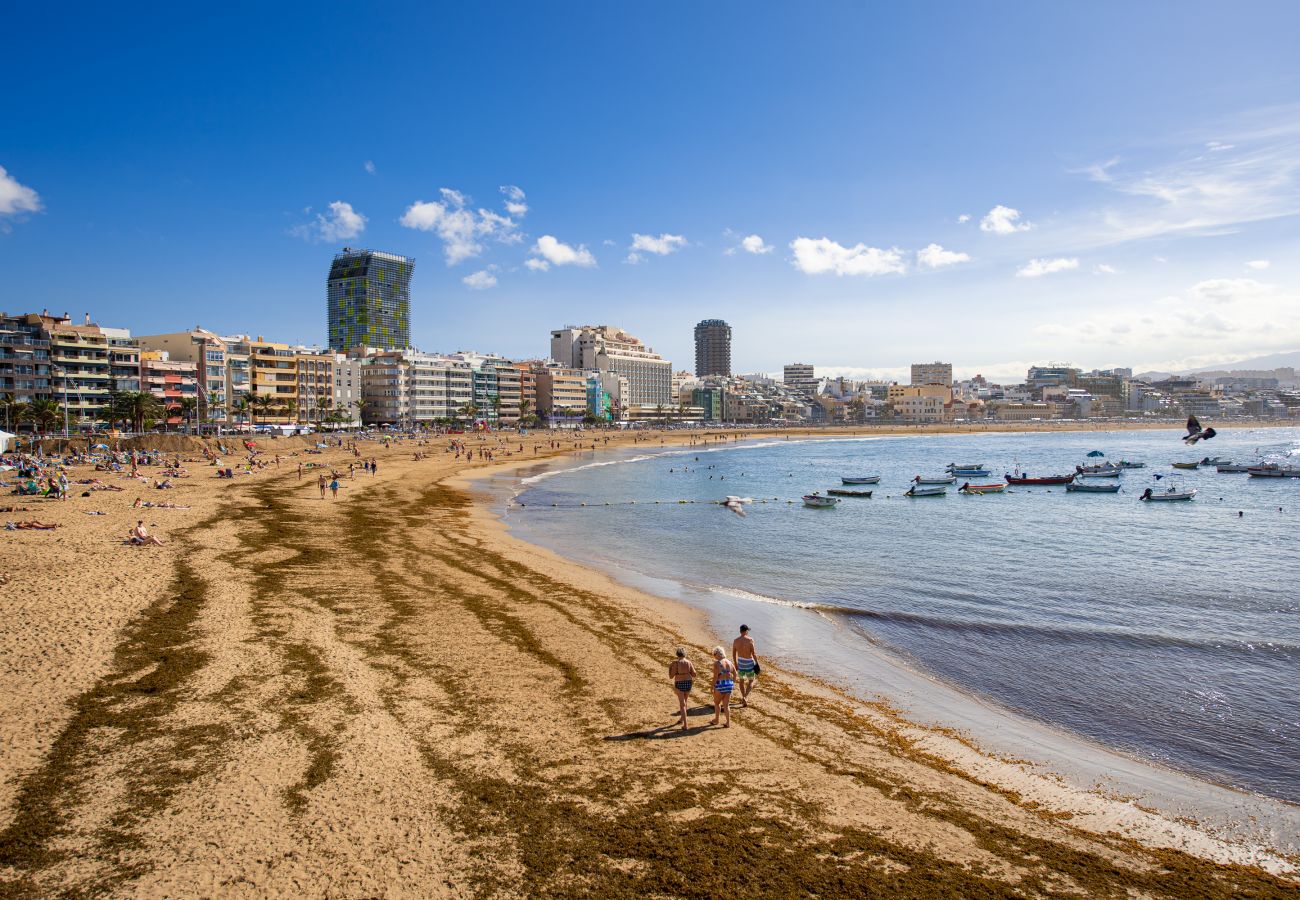 House in Las Palmas de Gran Canaria - Awesome beachfront terrace By CanariasGetaway 