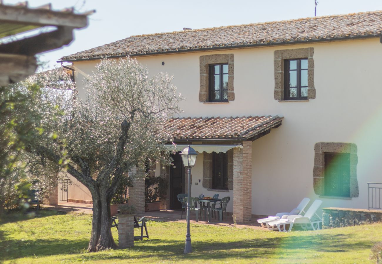 Apartment in Bolsena - Gli Ulivi - Poderaccio 