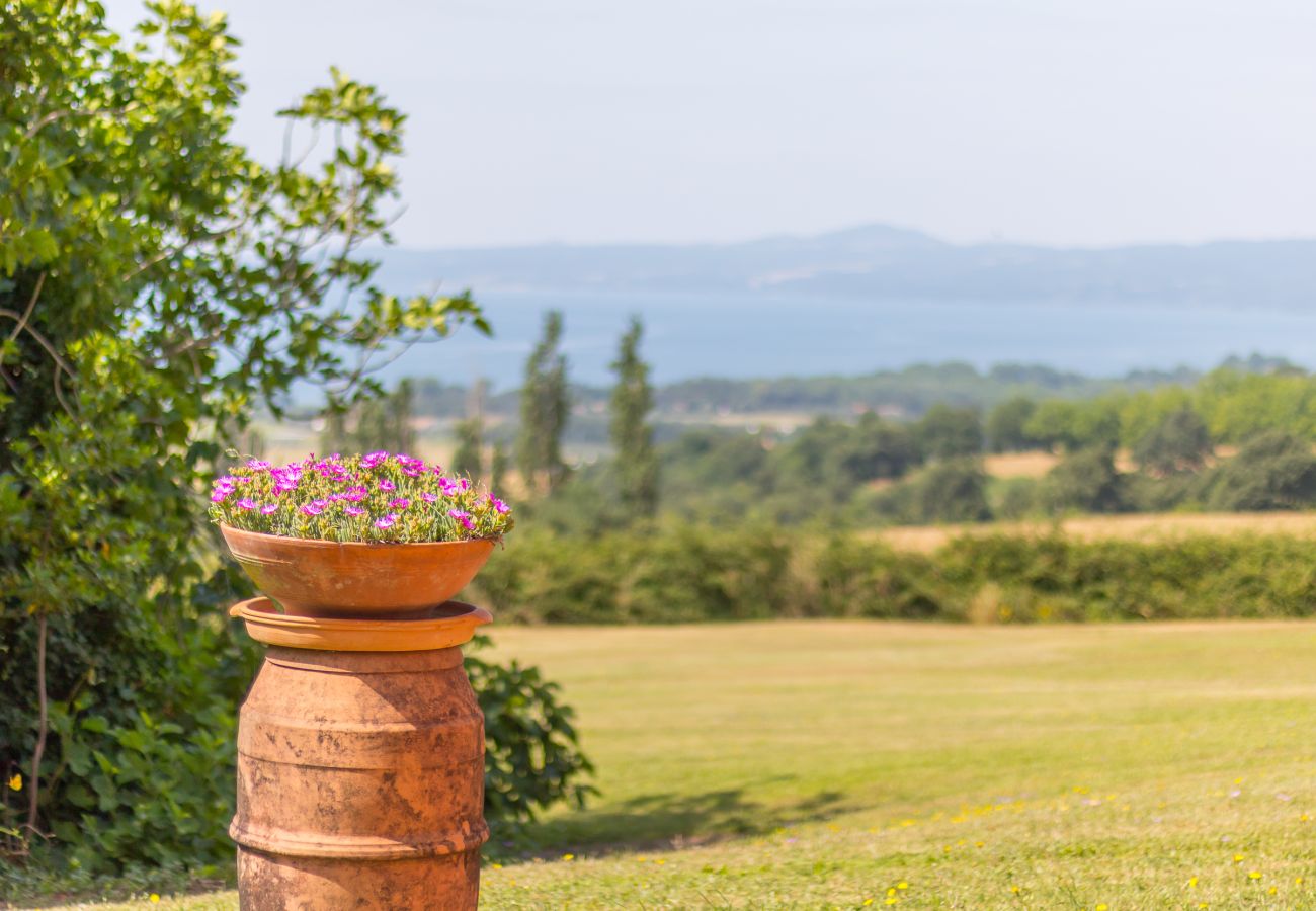 Apartment in Bolsena - Gli Ulivi - Poderaccio 