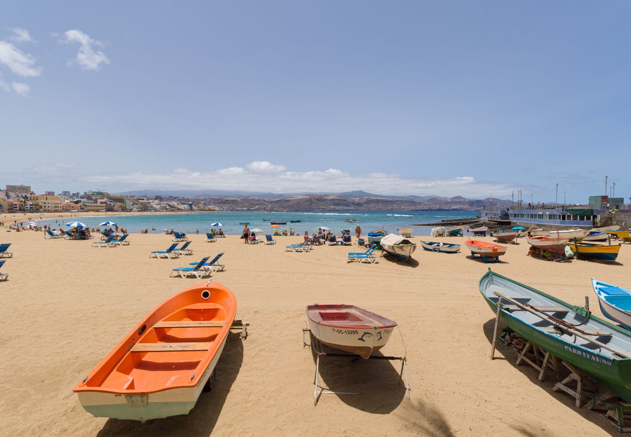 House in Las Palmas de Gran Canaria -  Volcano El Vigia By CanariasGetaway