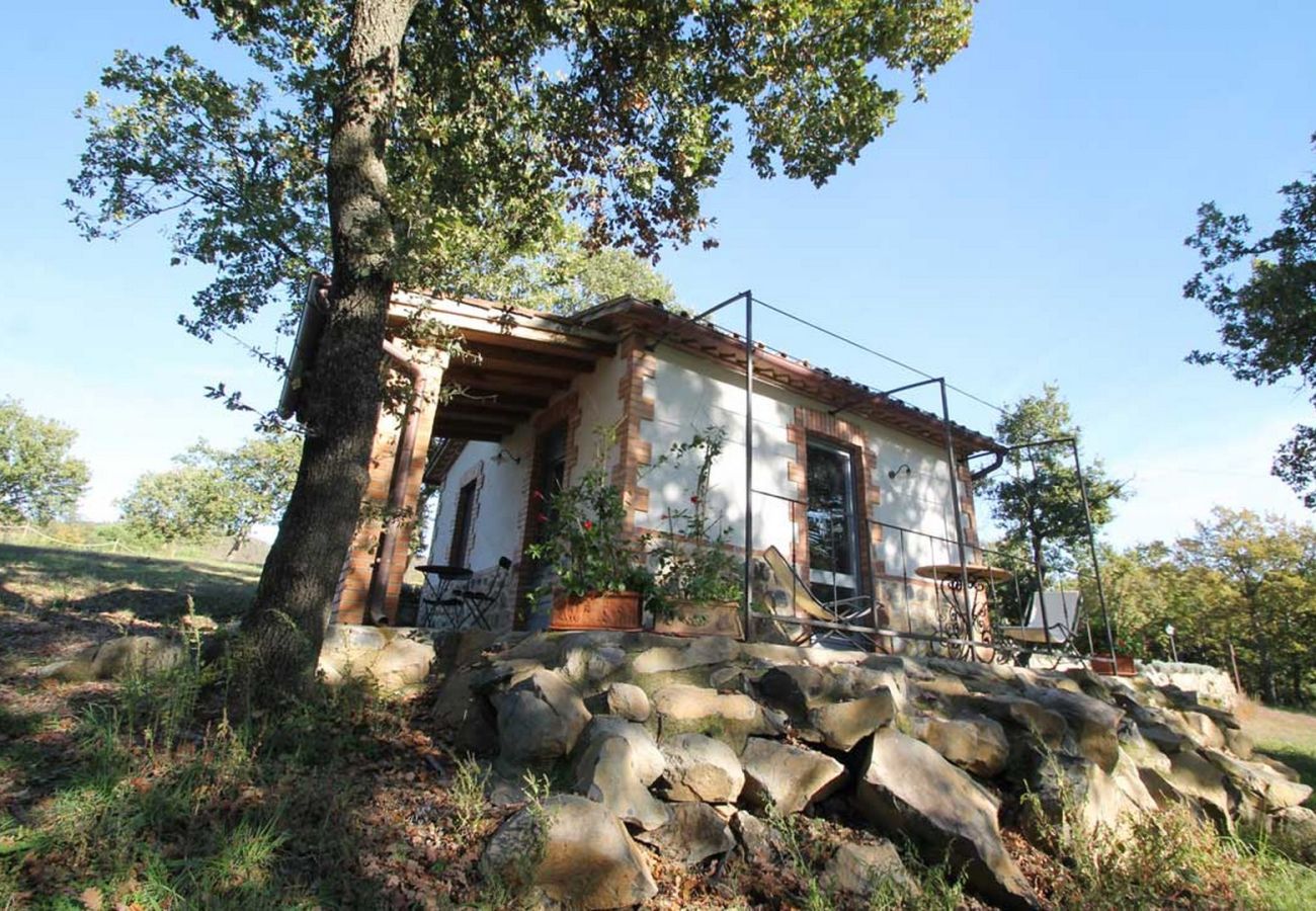 House in Bolsena - Podernovo - Casaletto Costantino