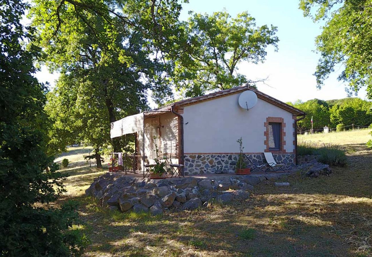 House in Bolsena - Podernovo - Casaletto Costantino