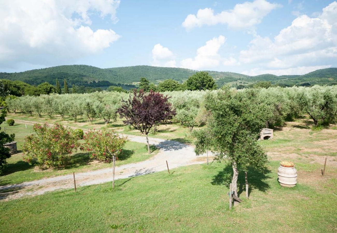 Apartment in Bolsena - Podernovo - Casa 5