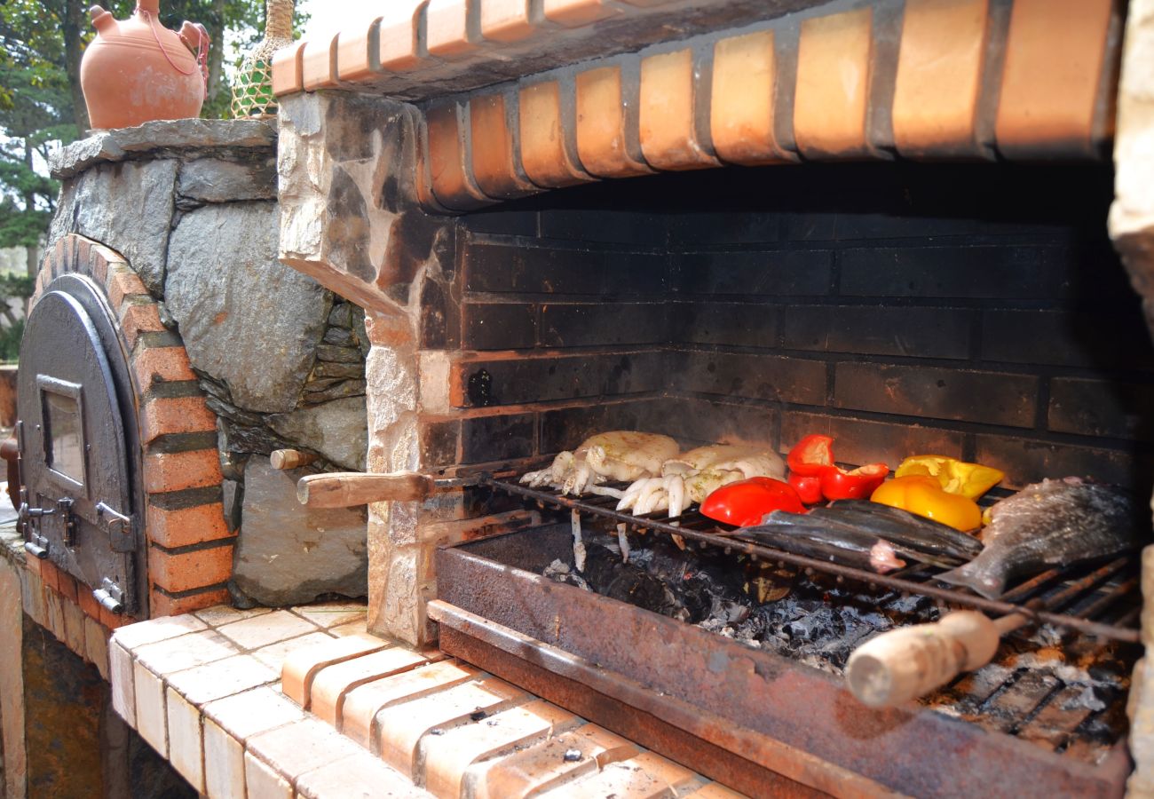 Cottage in Valleseco - Sombra del Laurel