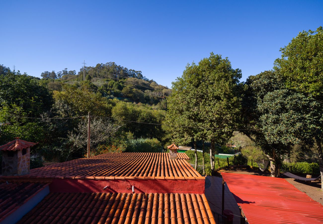 Cottage in Valleseco - Sombra del Laurel