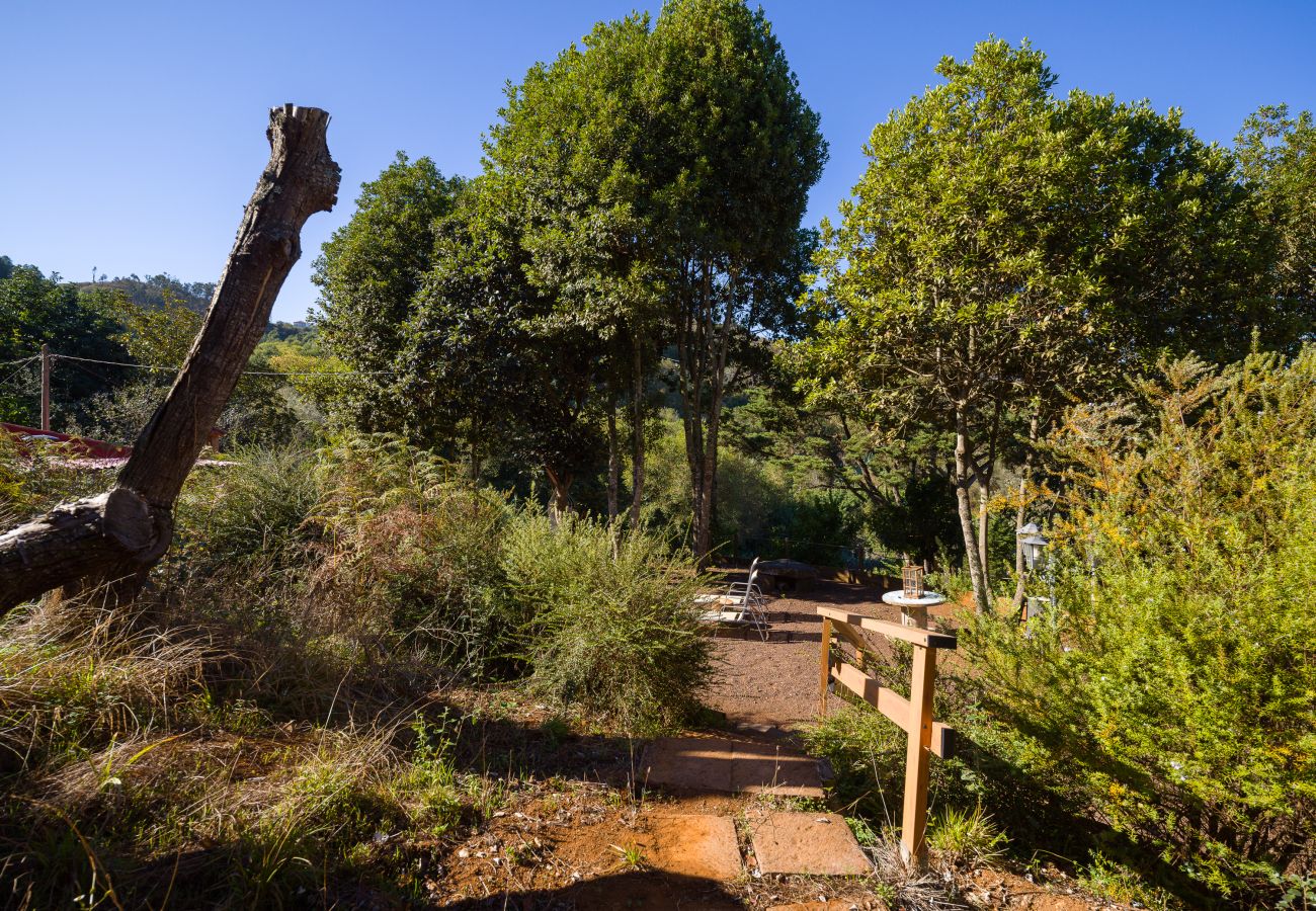 Cottage in Valleseco - Sombra del Laurel